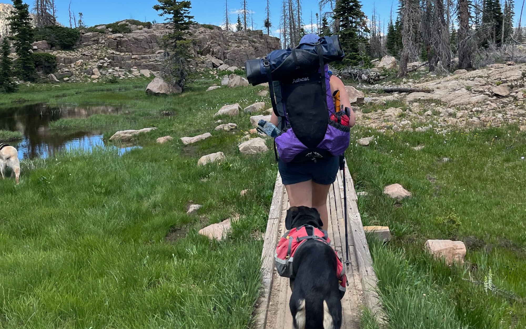 The right length hiking shorts should prevent chafing without inhibiting movement.