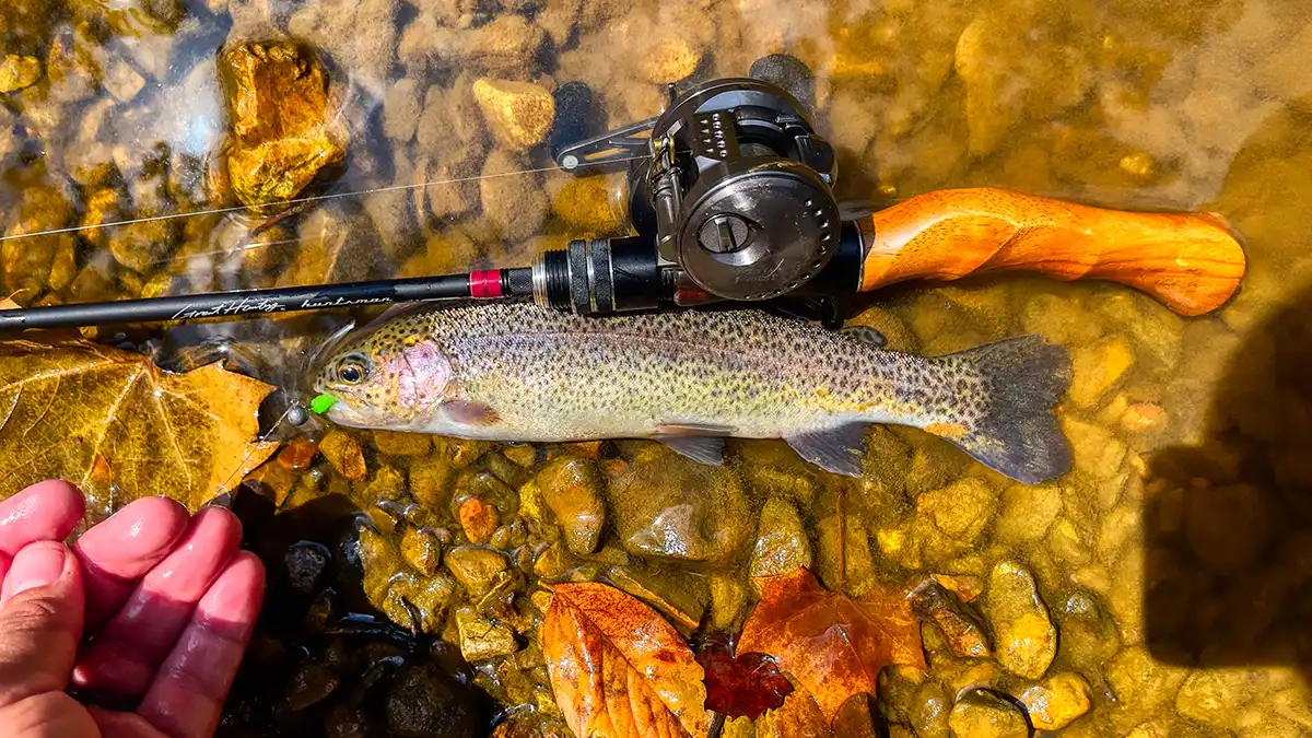 nice summer rainbow trout on Bait Finesse Gear BFS and small jigs
