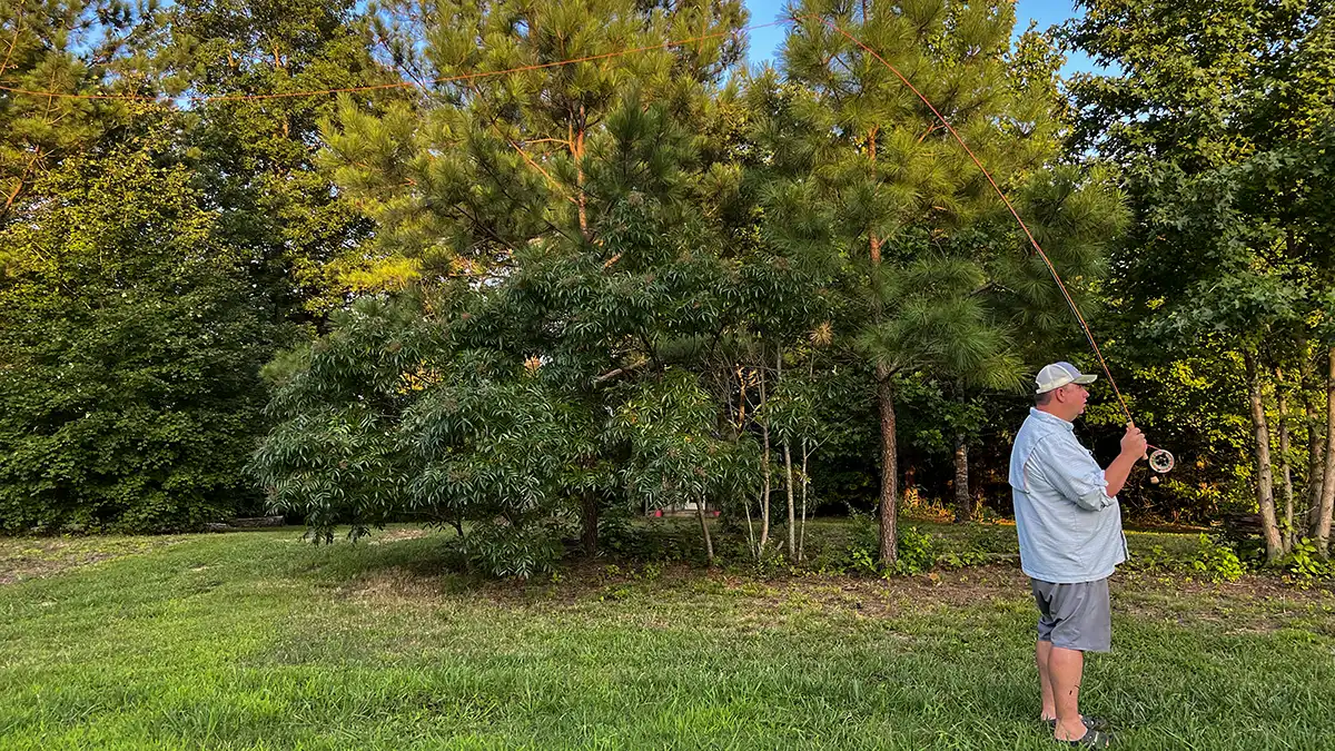 cast a fly rod back cast