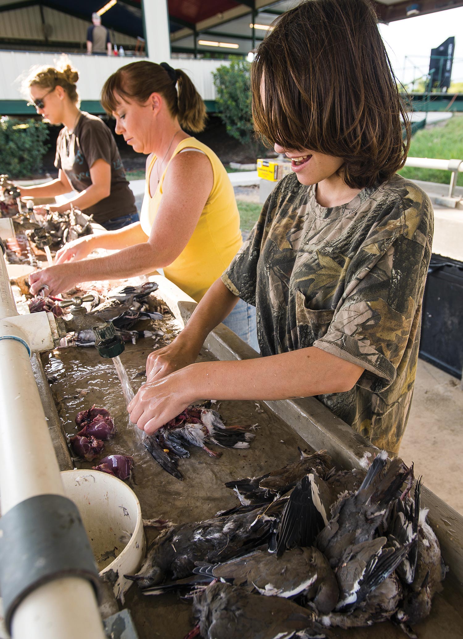 Three ranch workers clean and skin dead doves in long outdoor sink.