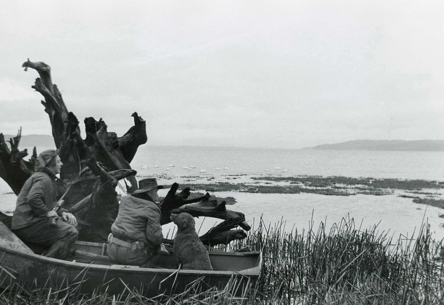 Two duck hunters with a Chesapeake bay retriever
