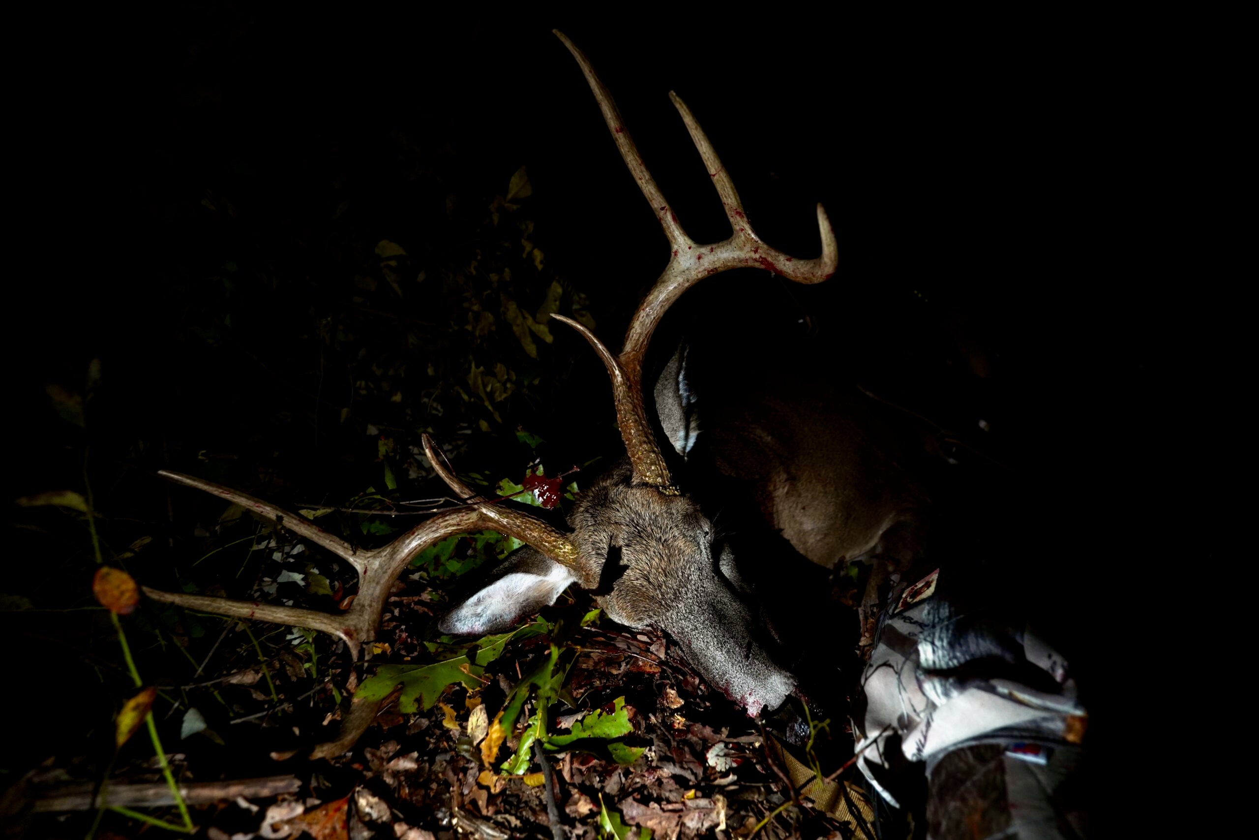 Bow Hunting Gear photo