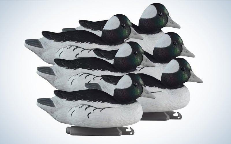 The Higdon Standard Bufflehead are the best buffleheads for the money.