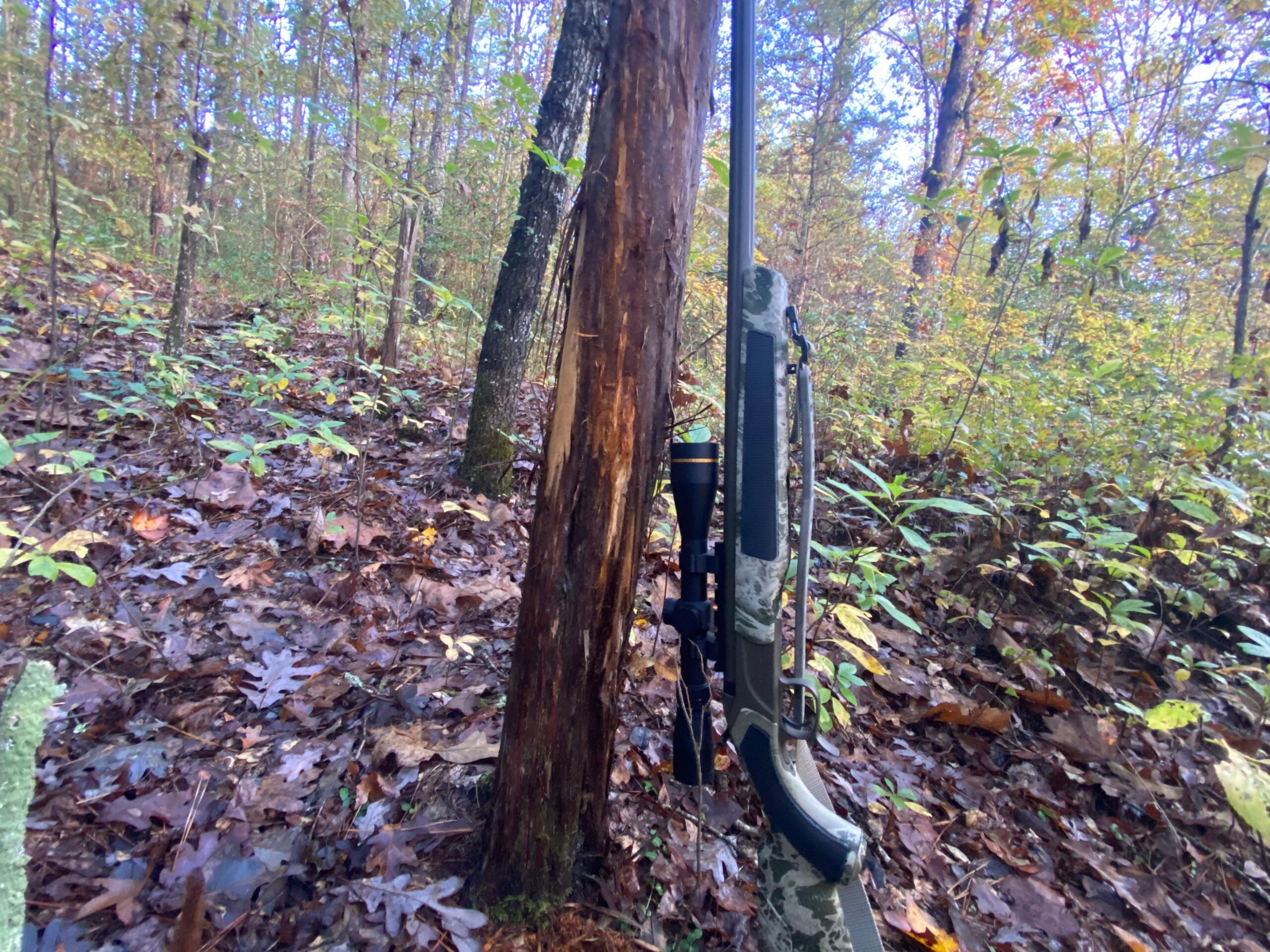 Leupold VX-Freedom UltimateSlam Reticle is mounted on a CVA Accura rifle.