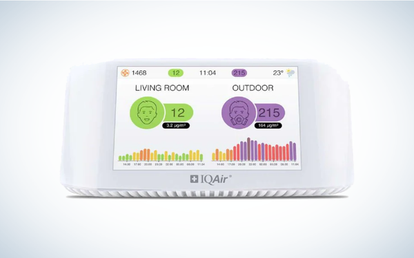 Best Air Quality Monitors: IQAir AirVisual Pro