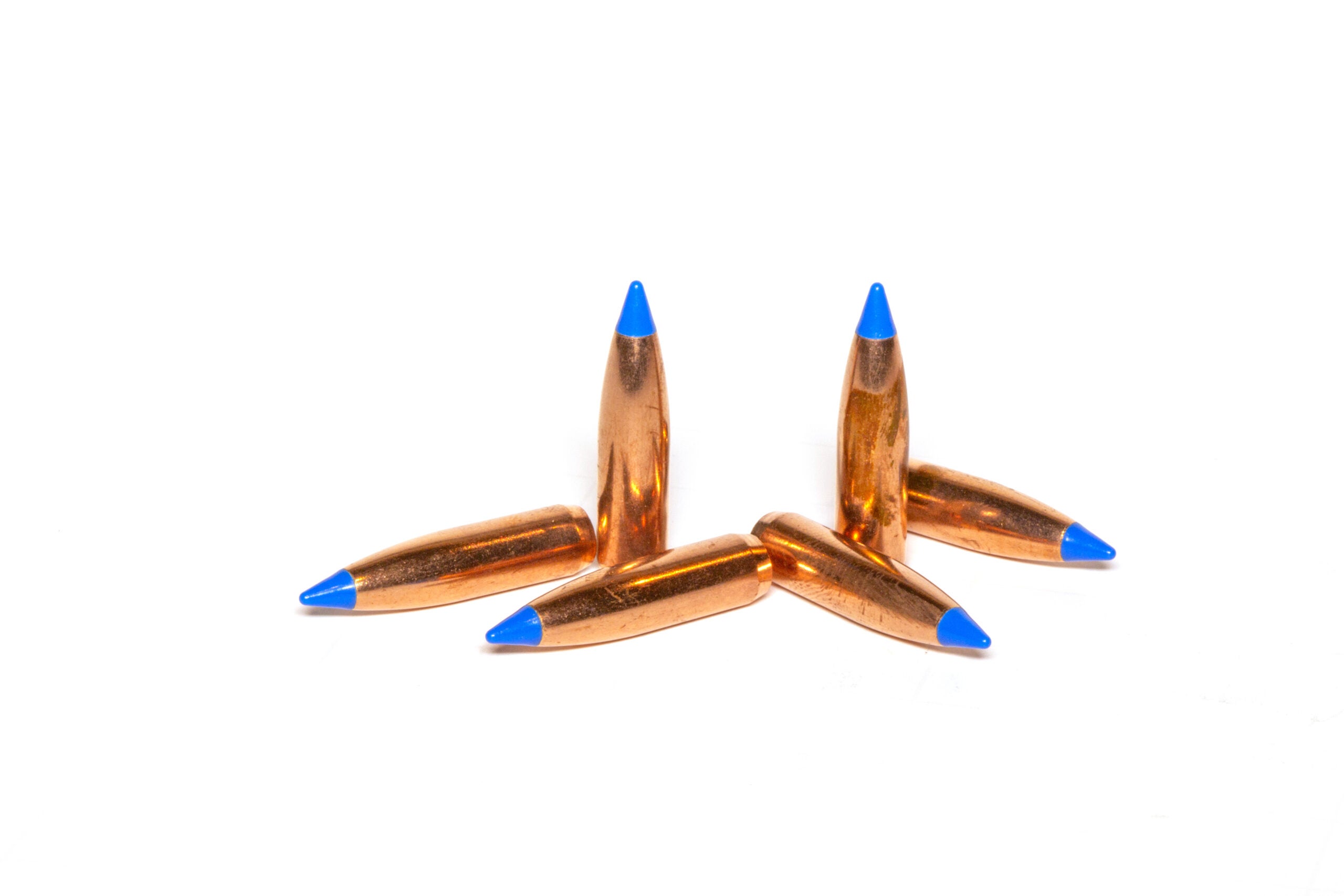 What Are the Basic Parts of Ammunition? Afield Daily
