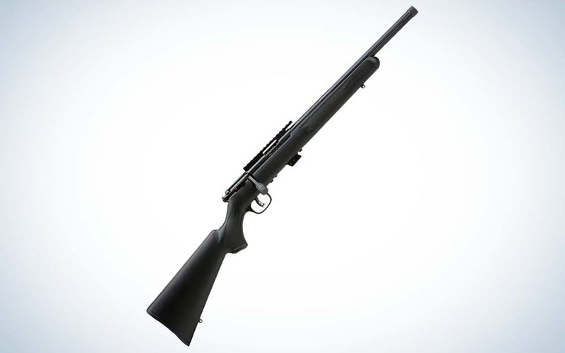 The Savage Mark II FV is the best budget squirrel rifle.