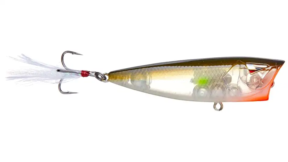 team ark topwater popper rattles