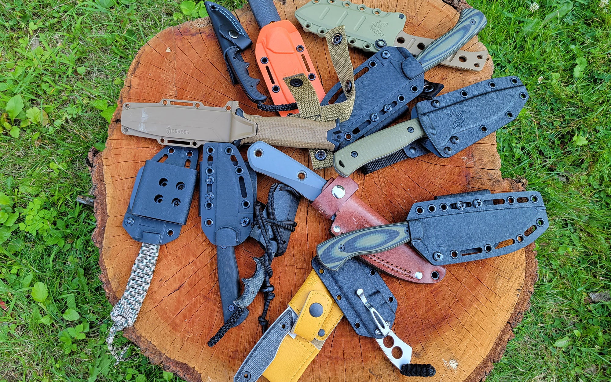 The best fixed blade knives sit on a stump.