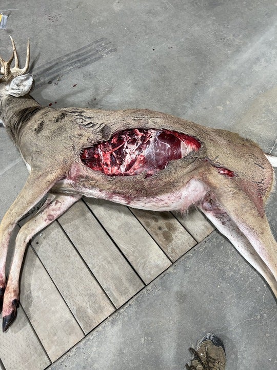 Whitetail Hunting photo