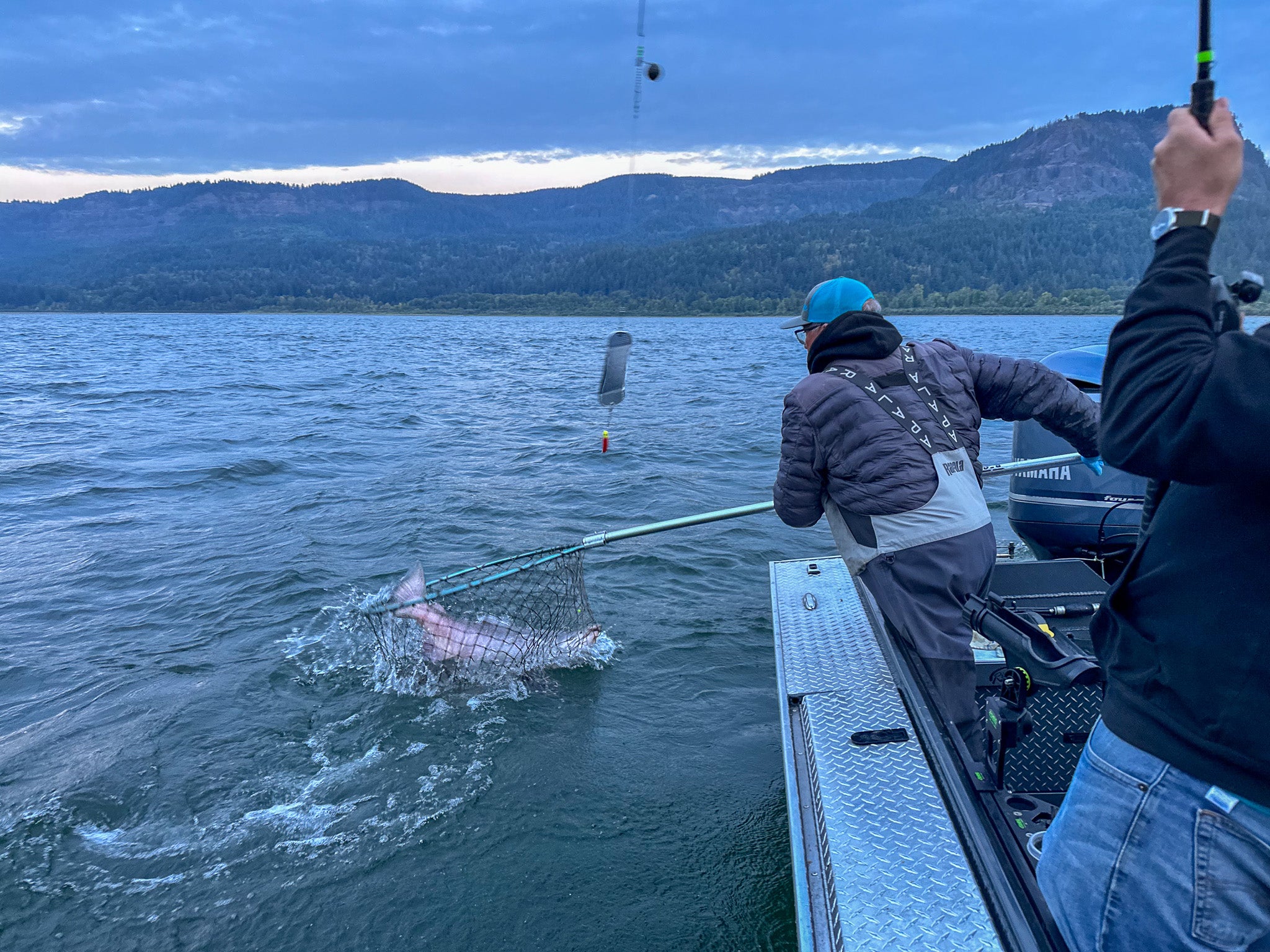 how to properly net a big fish