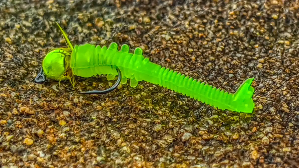 stair step tail on tiny worm