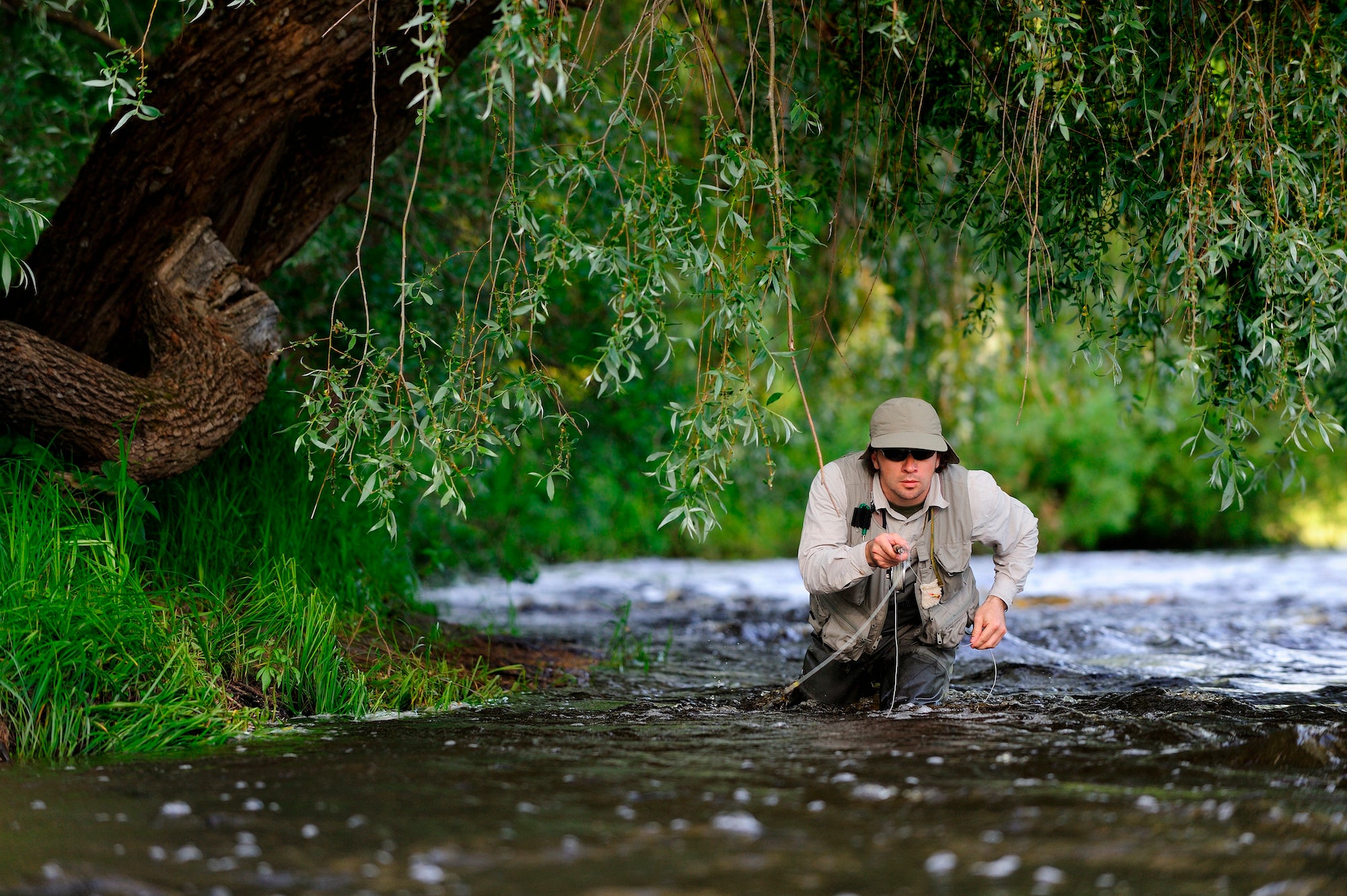 redwood fly fishing 3