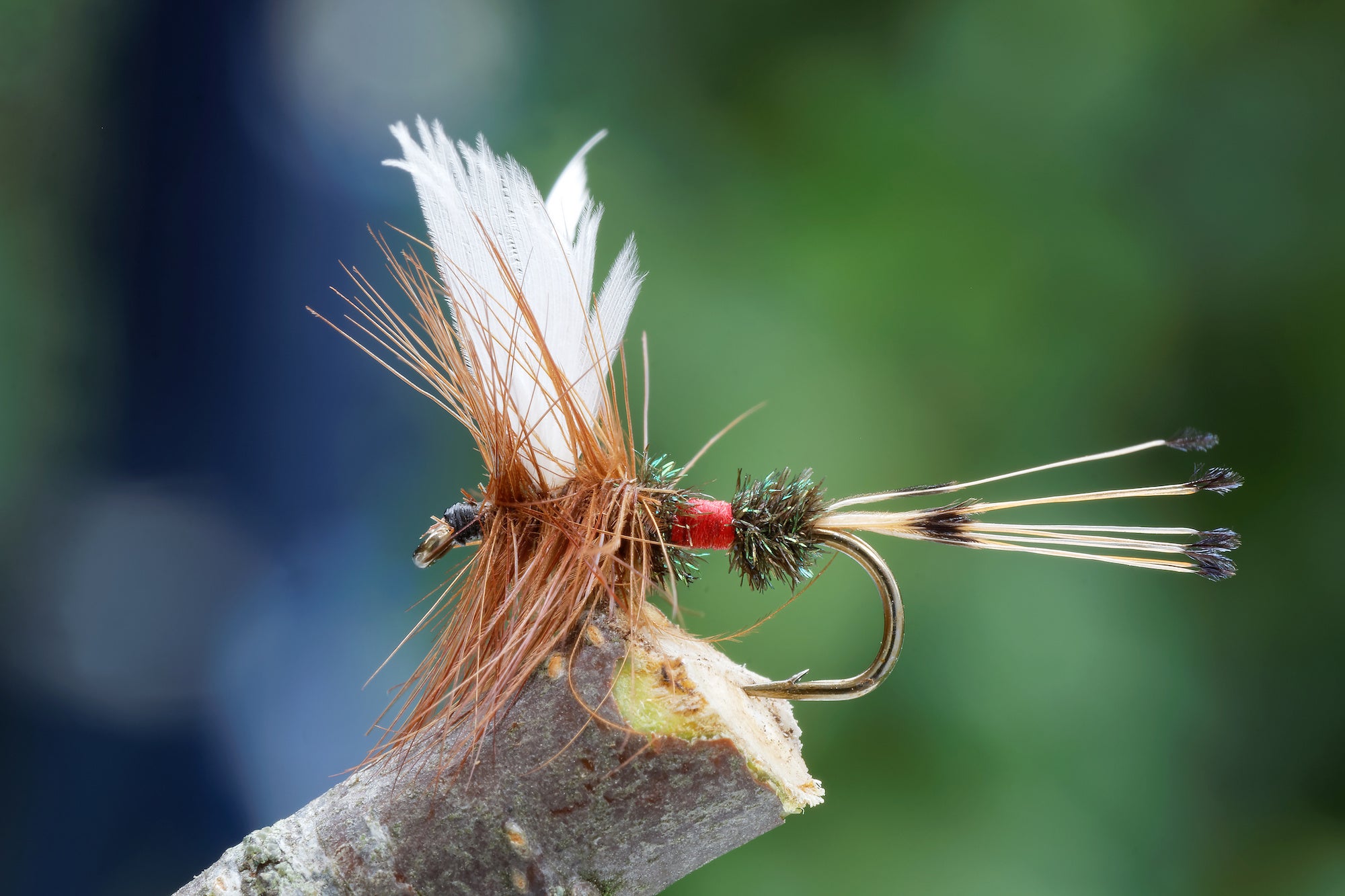 A Complete Guide to Fly Fishing | Afield Daily
