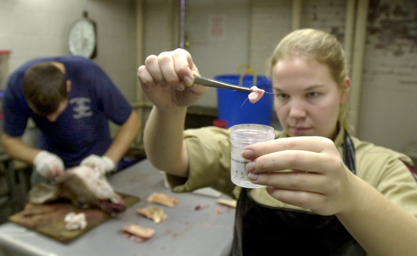 tennessee whistleblower cwd
