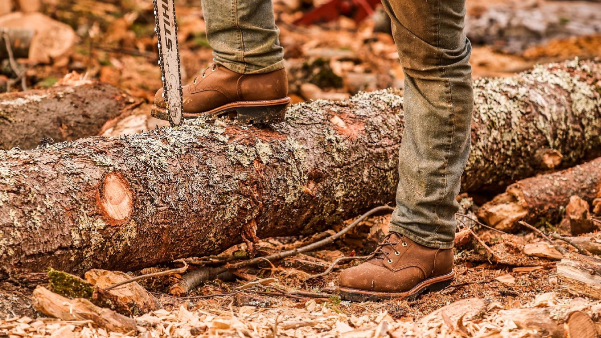 Best Logger Boots of 2023 – Afield Daily