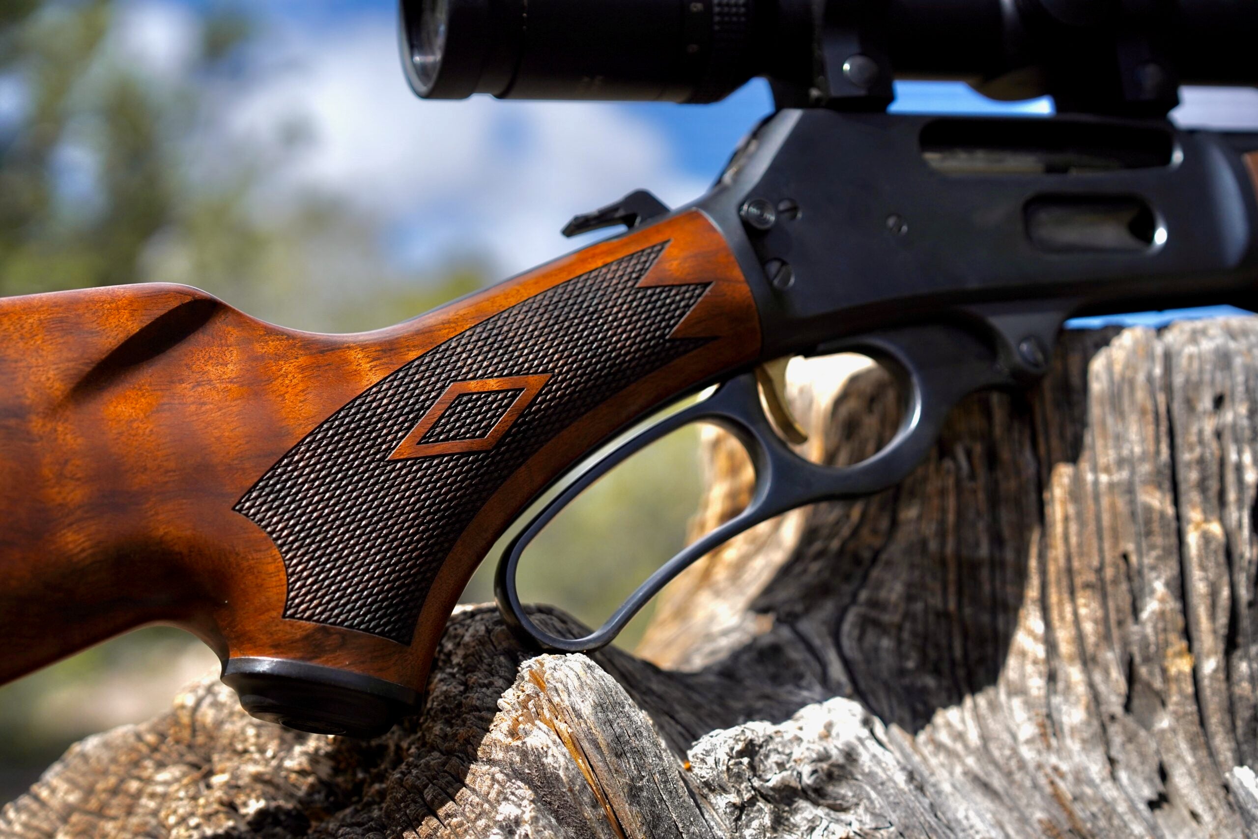 Hunting Rifles photo