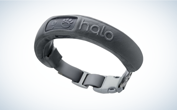 Best Invisible Dog Fences: Halo Collar 3