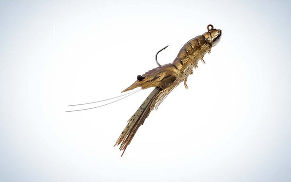 LiveTarget Shrimp
