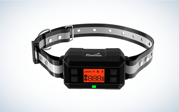 Best Invisible Dog Fences: Pawious GPS Dog Fence