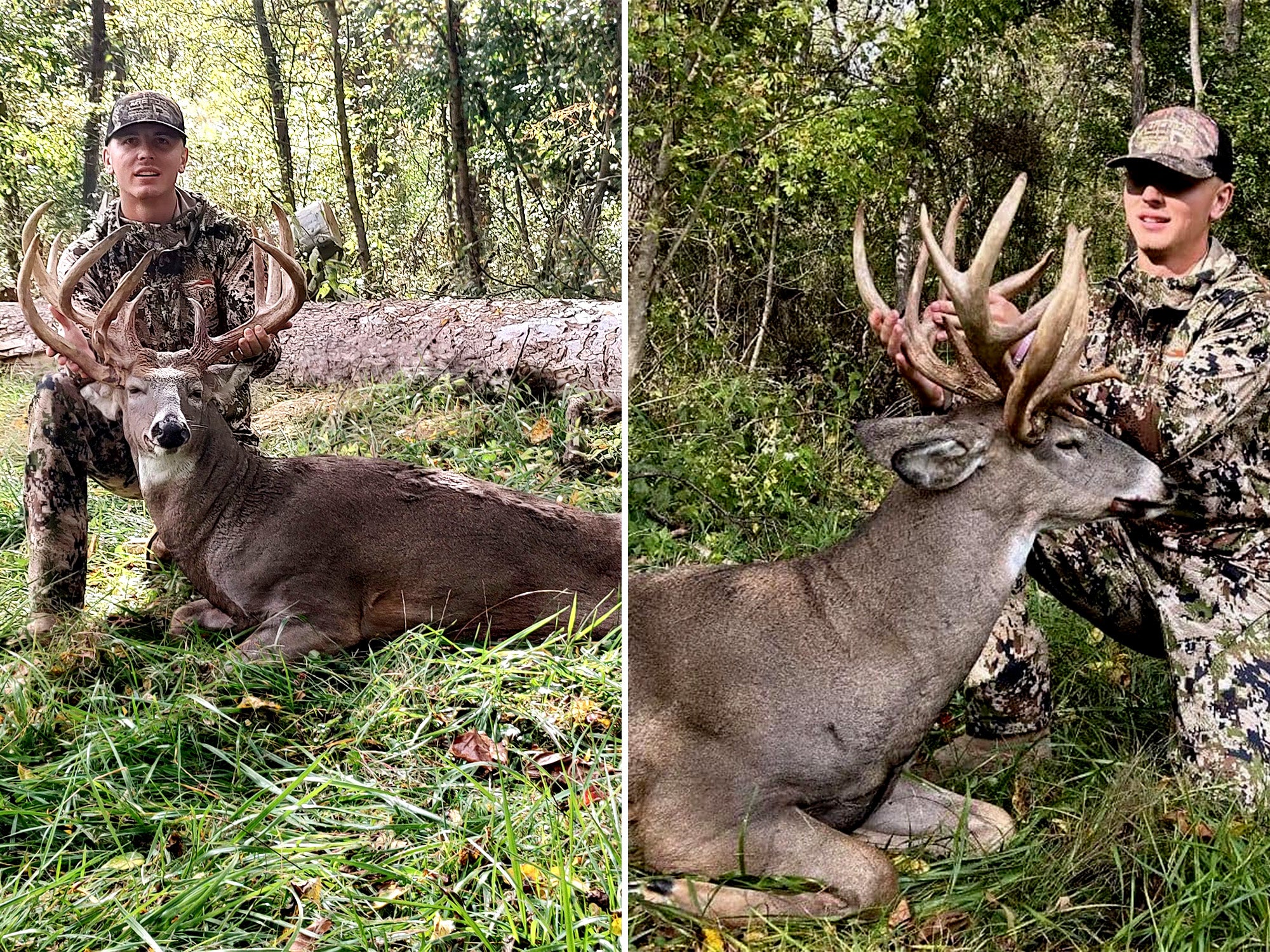 covell triple beam buck 2