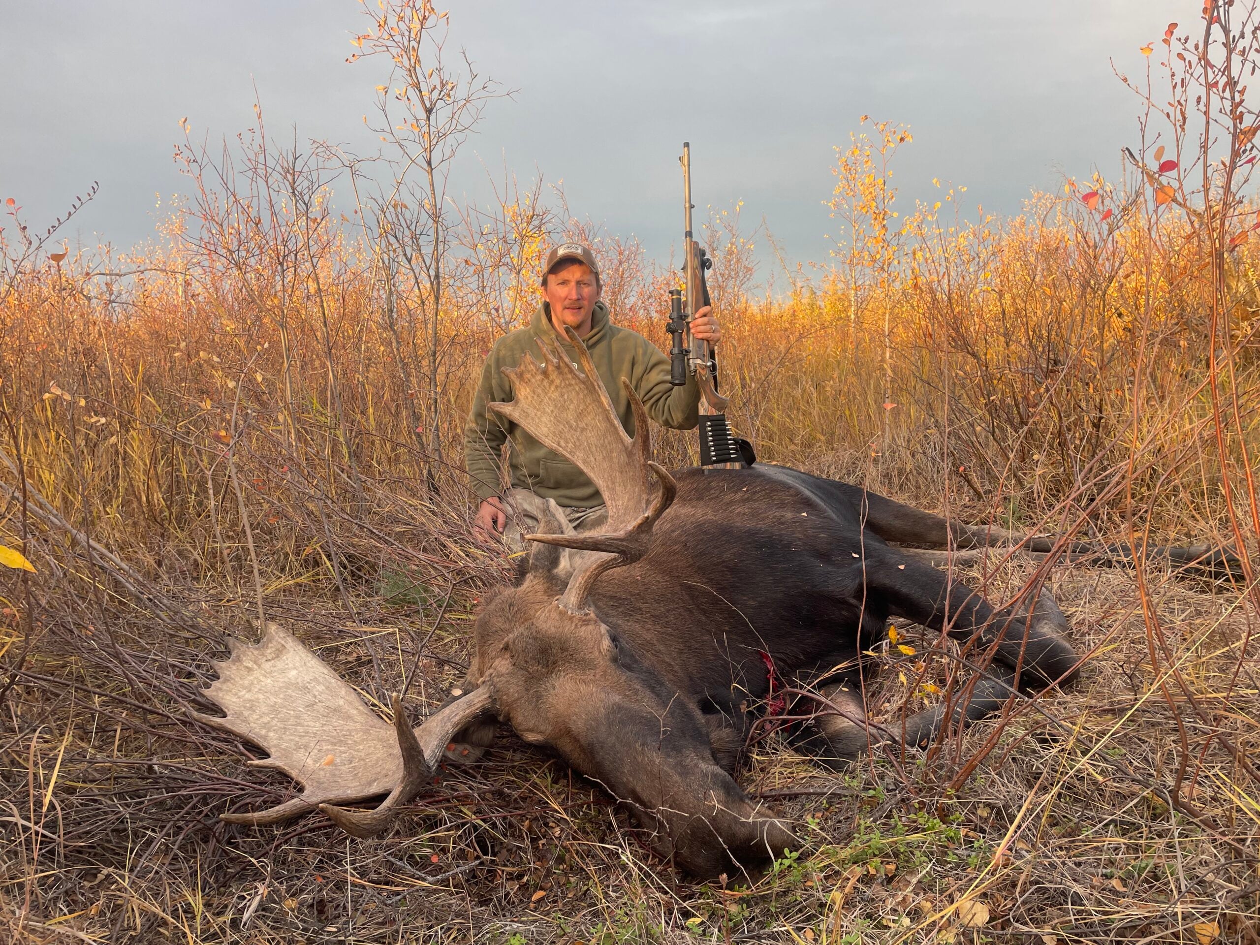 Freel with .338 win mag moose