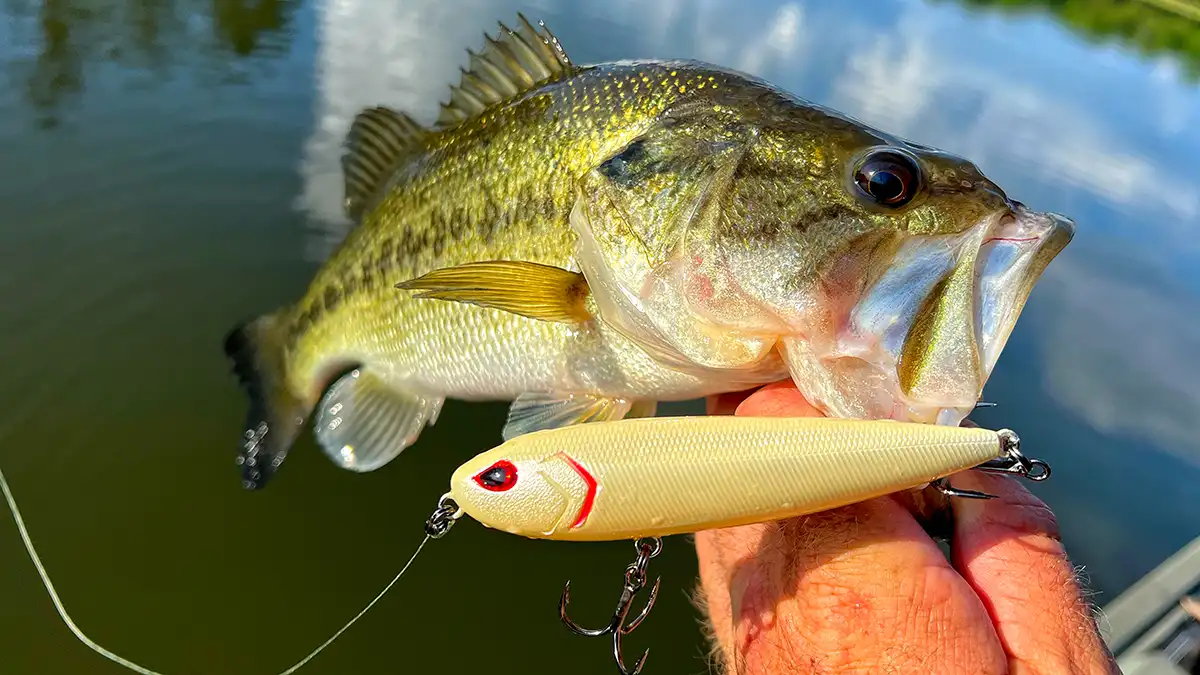 topwater braided line