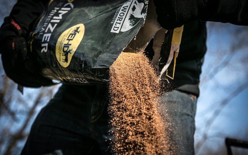 Deer Hunting Gear photo