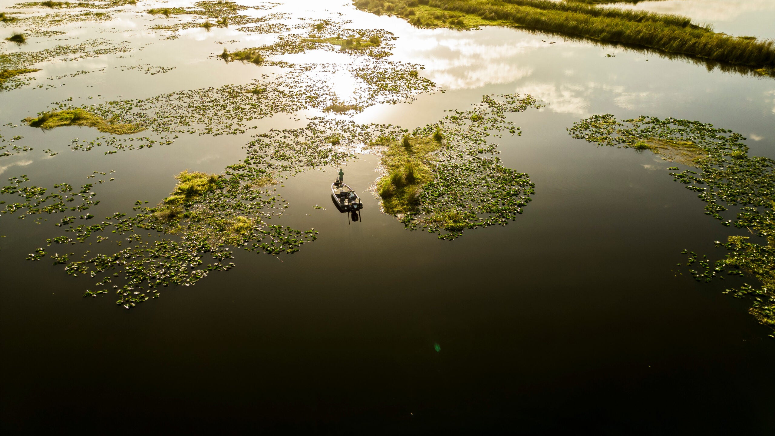 Photo of bass anglers fishing in Florida