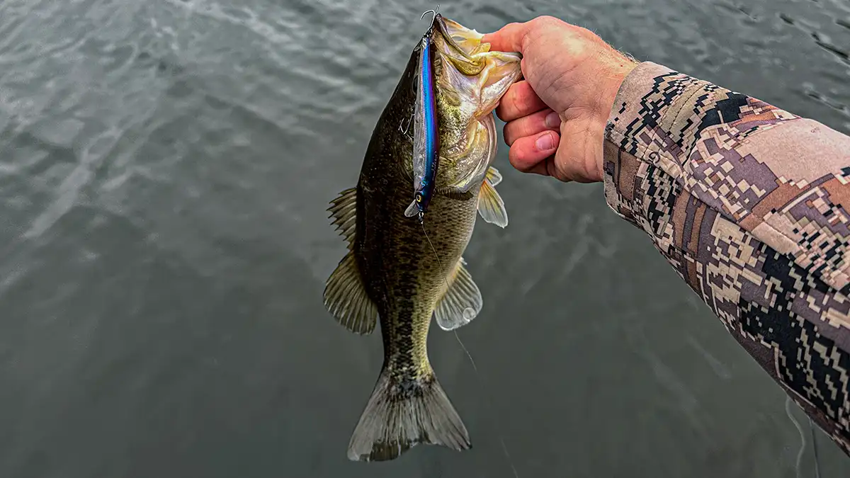 Megabass Vision 110 Bass