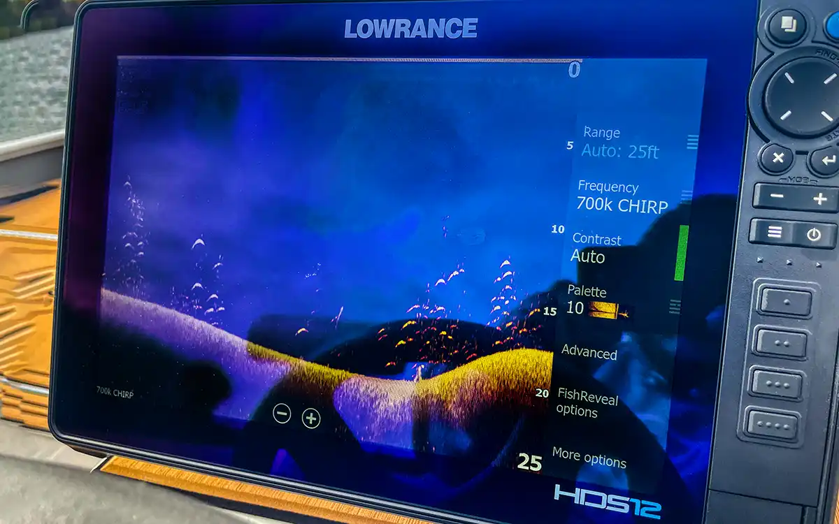 lowrance hds pro 10