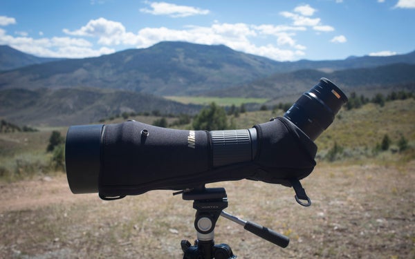 Black Bear Hunting photo