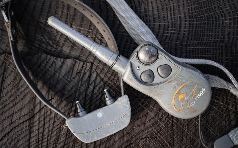 We tested the SportDOG 825x