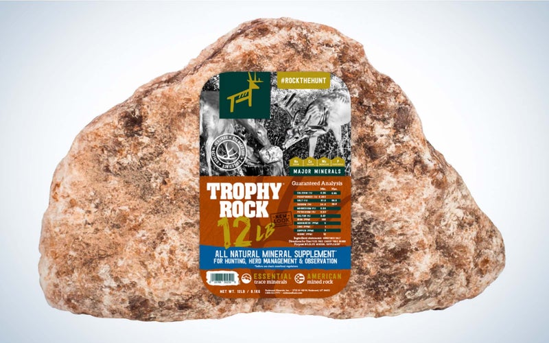 Deer Hunting Gear photo