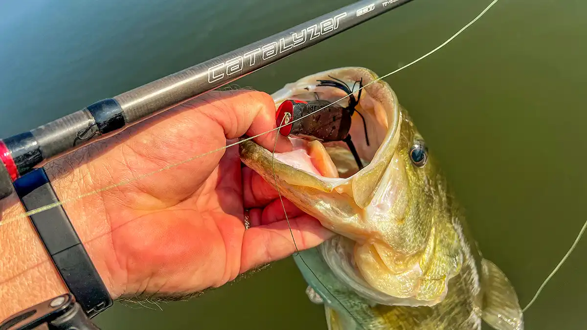 ark catalyzer casting rod big bass on frog