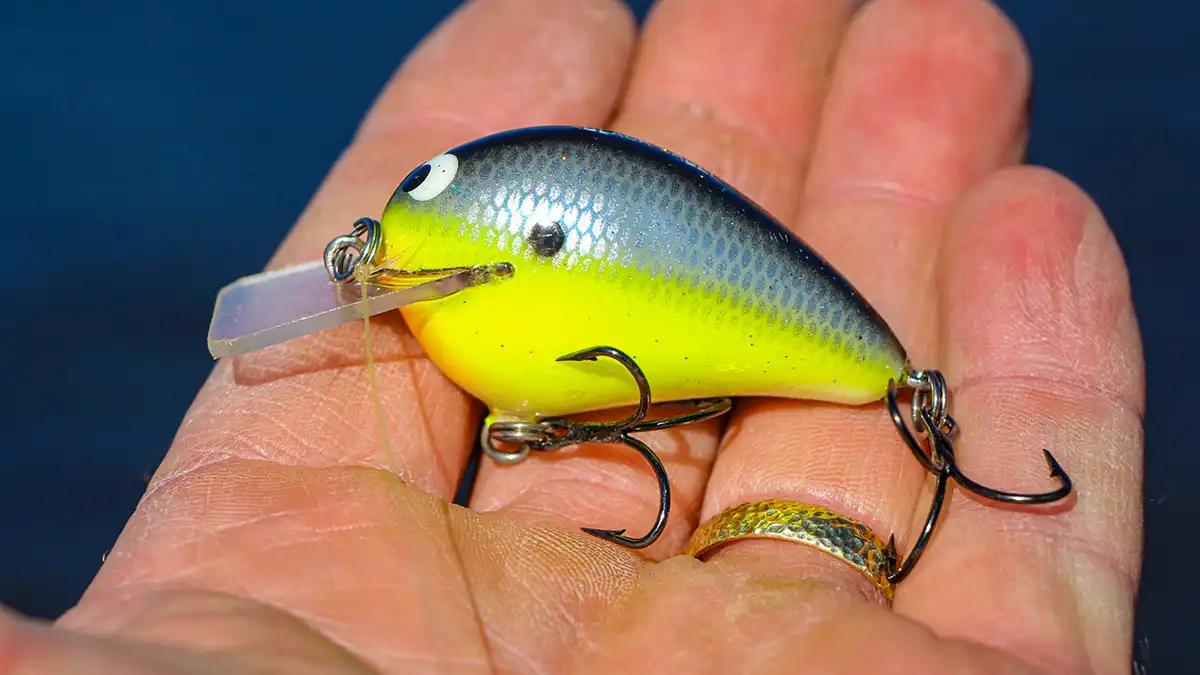 black label balsa wreck