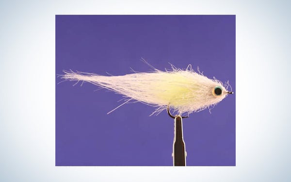 Baits, Lures & Flies photo