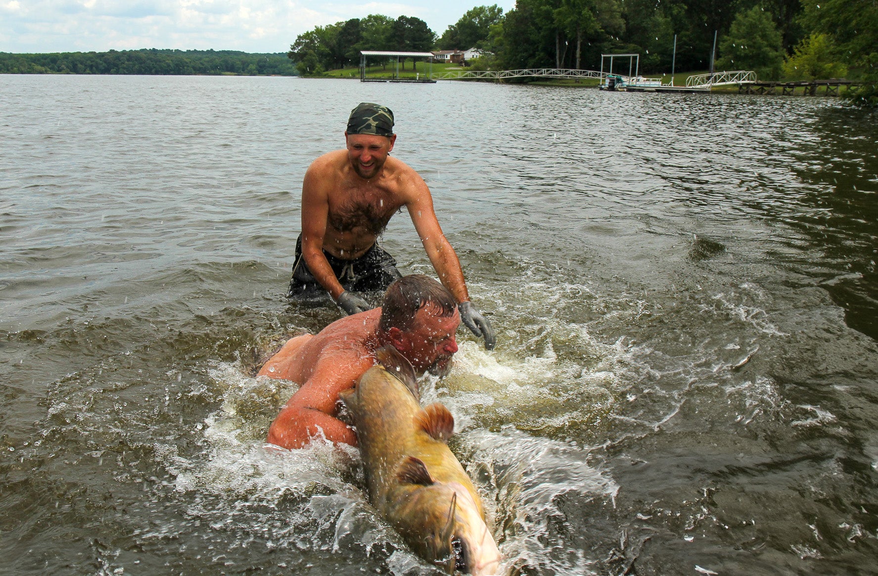 A catfish escapes from a noodler's grip.