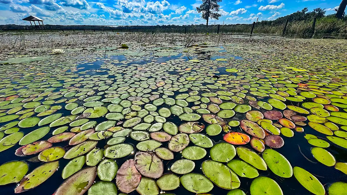 when to use braided fishing line