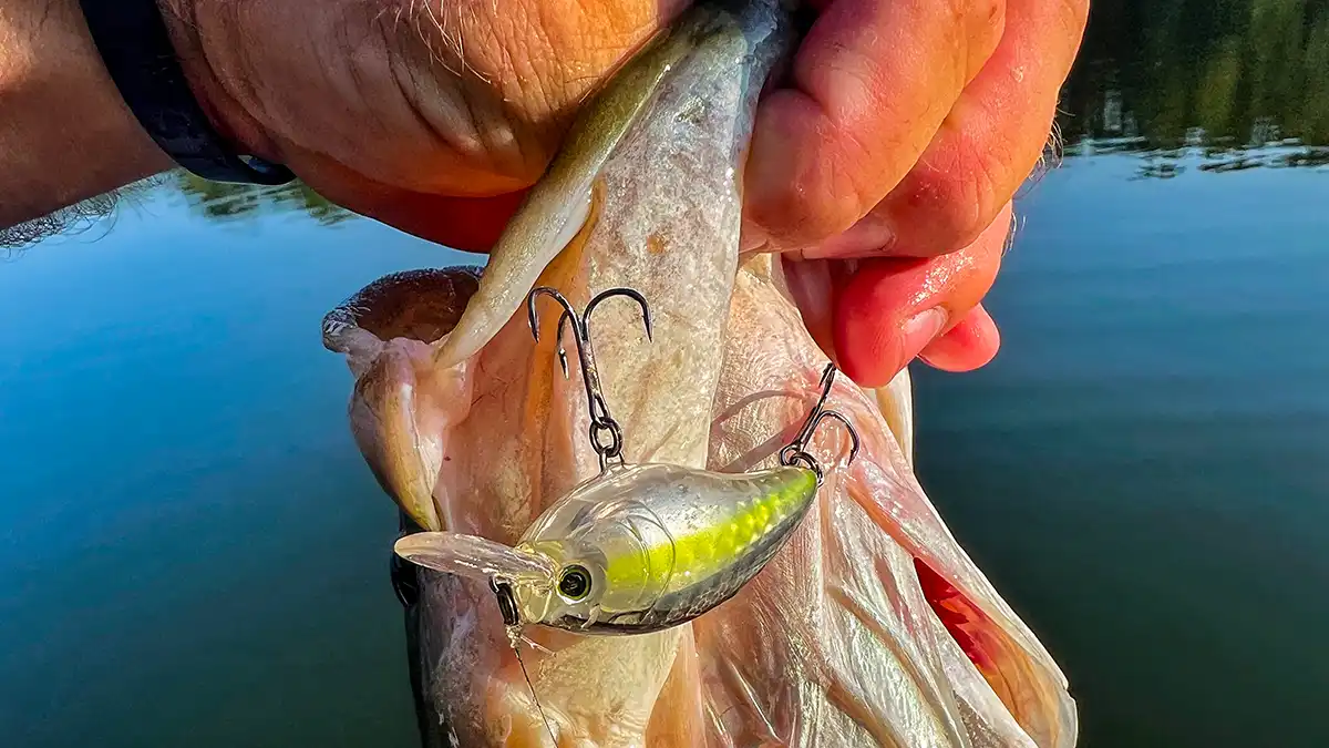 when to use monofilament fishing line