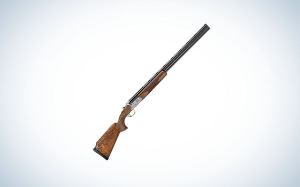 Caesar Guerini Syren Tempio on blue and white background