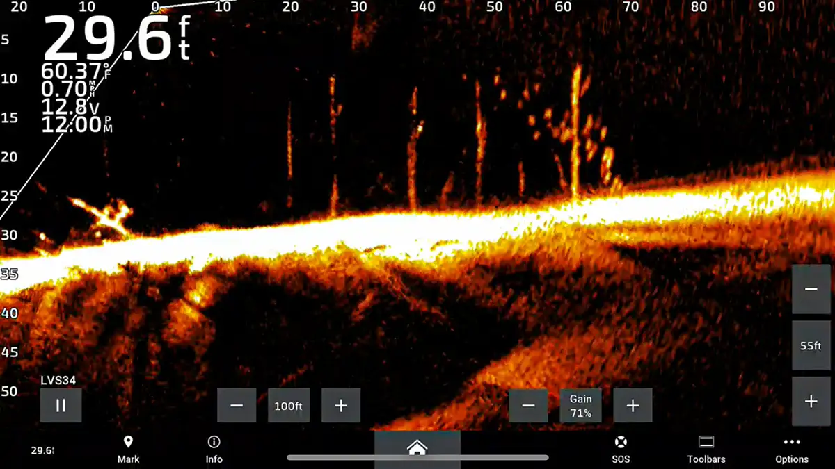 School of Spotted Bass