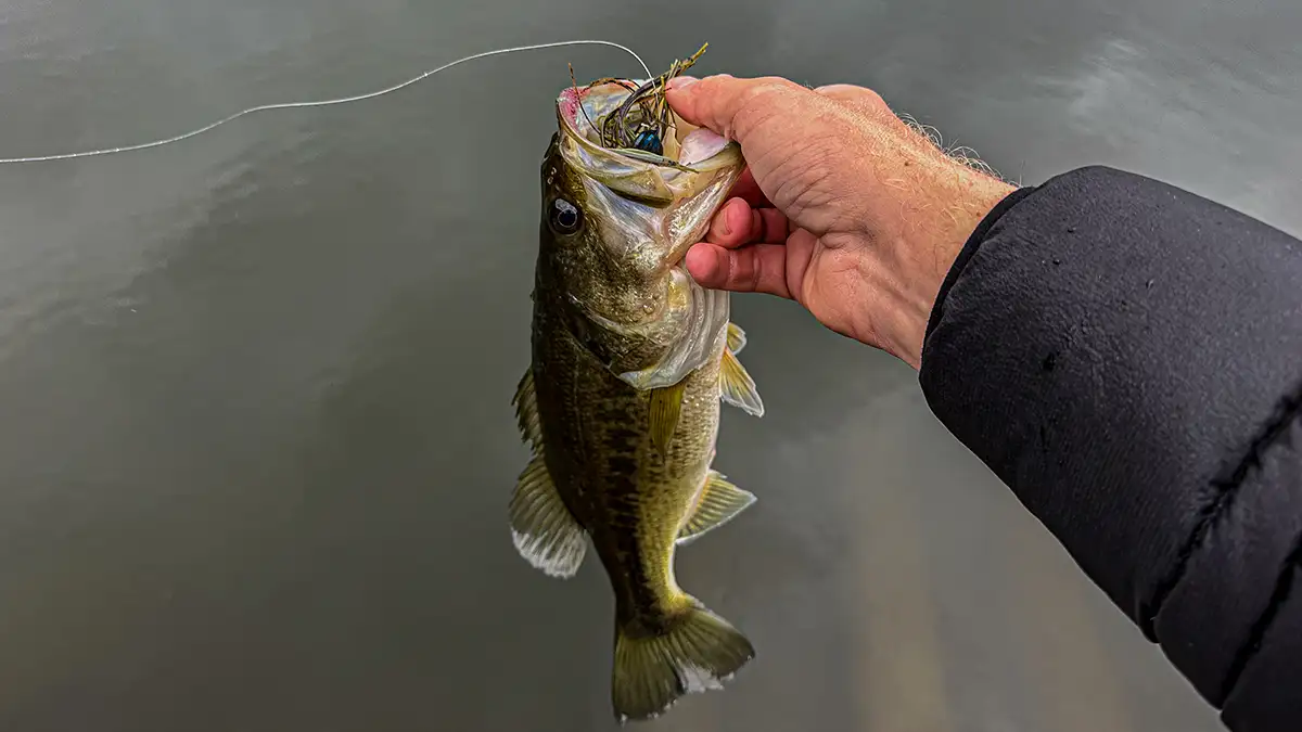 Hard Spot Jig