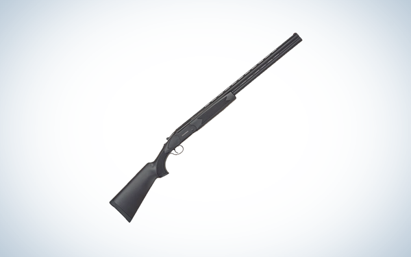 Mossberg Silver Reserve Eventide over/under shotgun on blue and white background