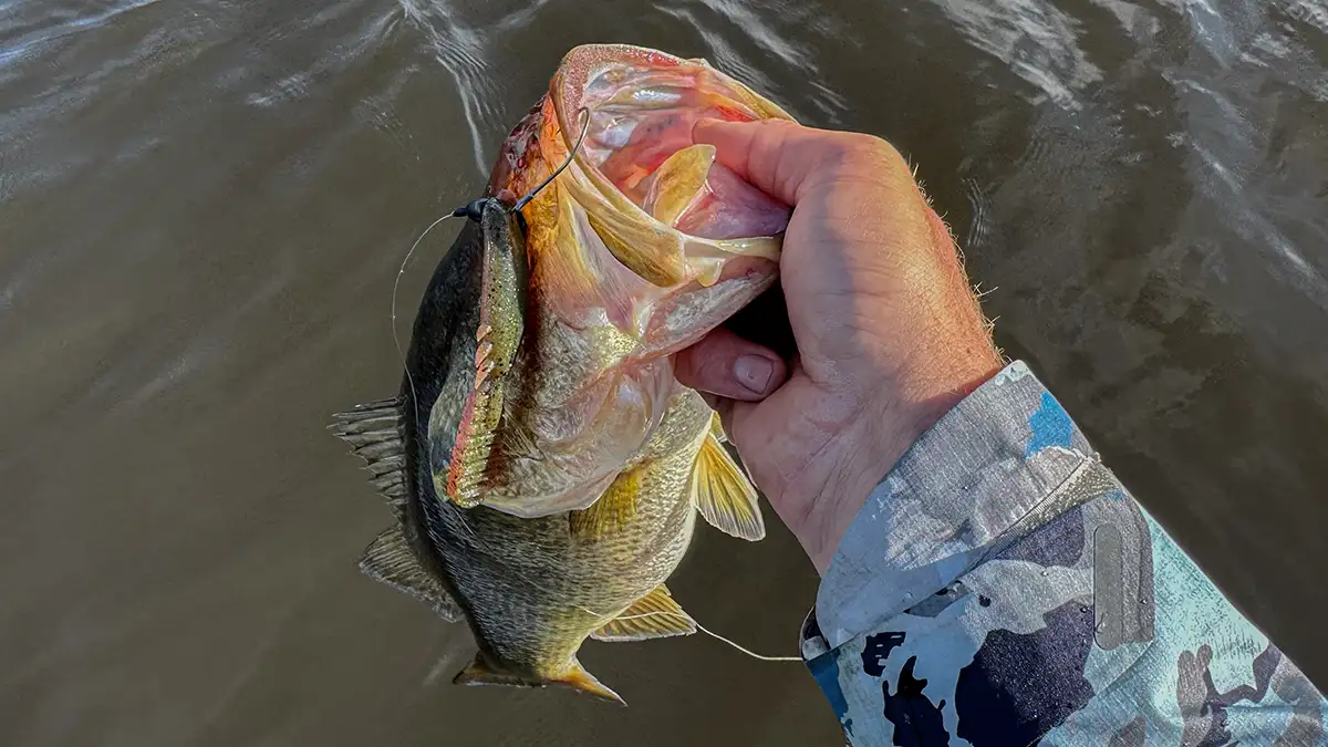 Keitech Paddlin Beaver