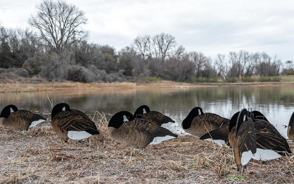 divebomb Silhouette decoys