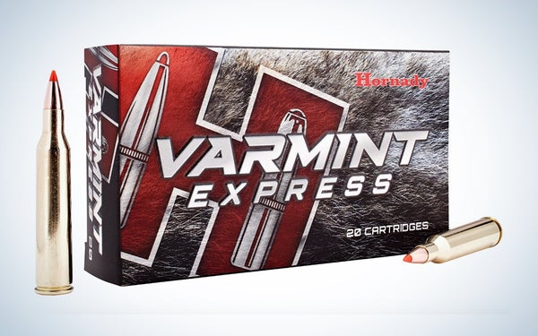 Coyote Hunting photo