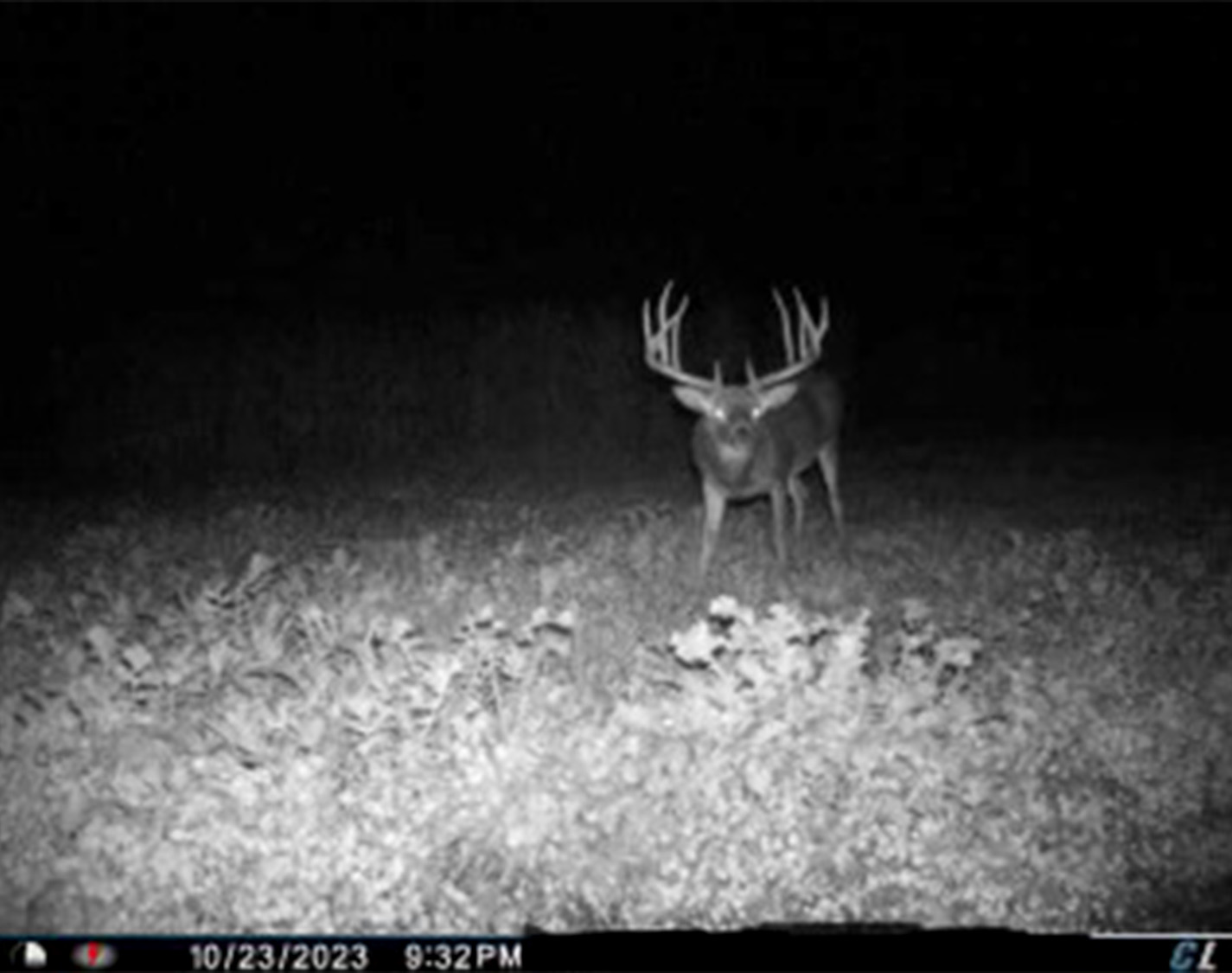 ohio bowhunter tags giant face to face
