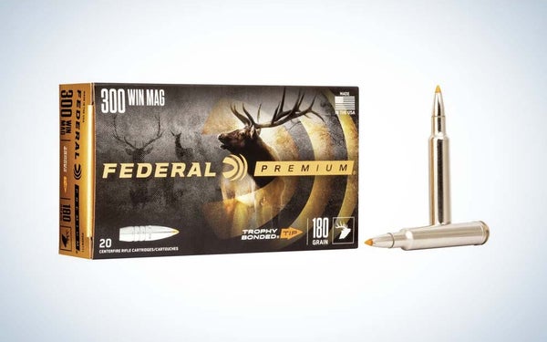 .300 Winchester Magnum