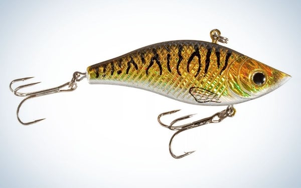 Golden tiger, rattle crankbait